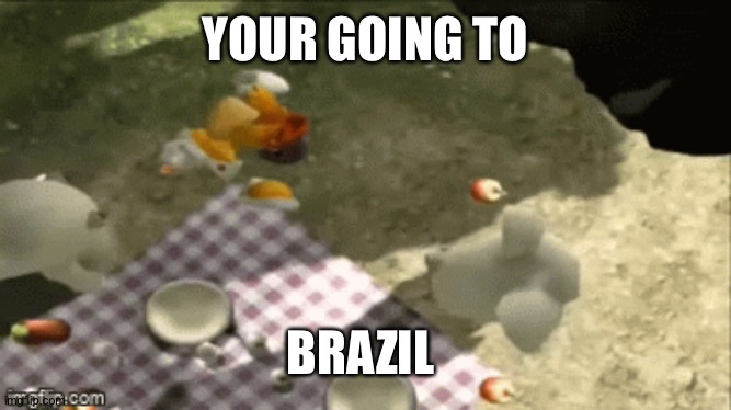 Your going to Brazil | YOUR GOING TO; BRAZIL | image tagged in bad luck brian | made w/ Imgflip meme maker