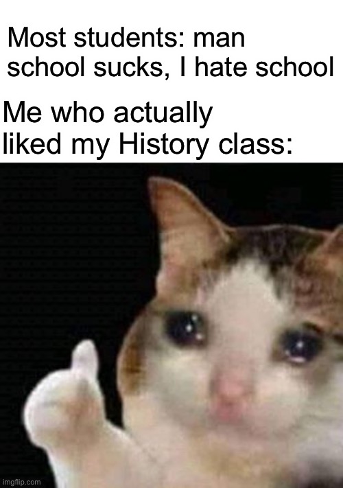 My 8th grade history teacher was the best | Most students: man school sucks, I hate school; Me who actually liked my History class: | image tagged in crying thumbs up | made w/ Imgflip meme maker