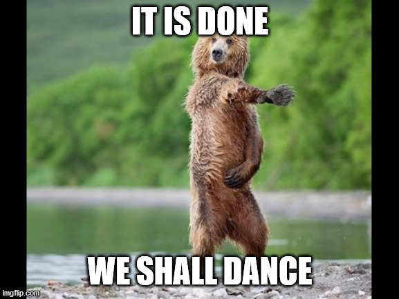 Happy dance bear | IT IS DONE; WE SHALL DANCE | image tagged in funny memes | made w/ Imgflip meme maker