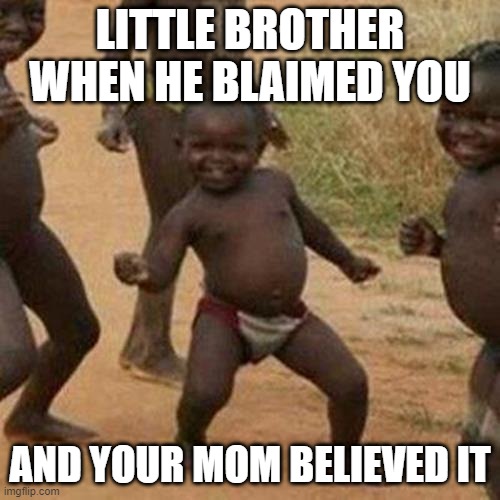 Third World Success Kid | LITTLE BROTHER WHEN HE BLAIMED YOU; AND YOUR MOM BELIEVED IT | image tagged in memes,third world success kid | made w/ Imgflip meme maker