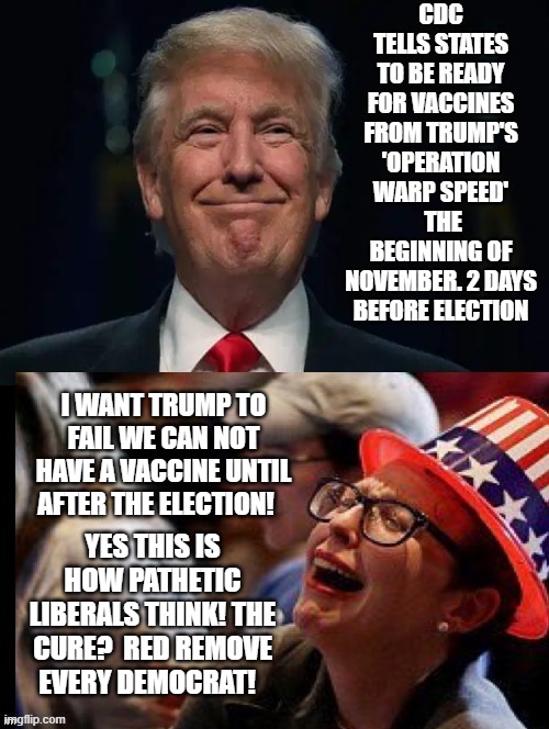 I want Trump to fail!  We can not have a vaccine until after the election!! | I WANT TRUMP TO FAIL WE CAN NOT HAVE A VACCINE UNTIL AFTER THE ELECTION! YES THIS IS HOW PATHETIC LIBERALS THINK! THE CURE?  RED REMOVE EVERY DEMOCRAT! | image tagged in stupid liberals,democrats,trump | made w/ Imgflip meme maker