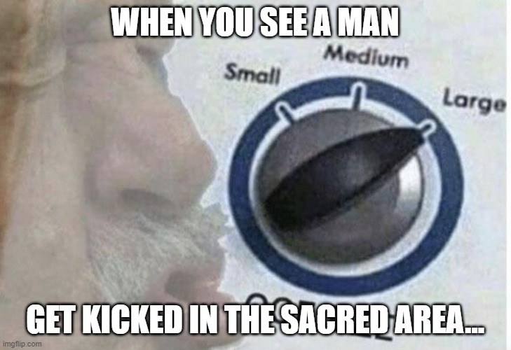 Oof size large | WHEN YOU SEE A MAN; GET KICKED IN THE SACRED AREA... | image tagged in oof size large | made w/ Imgflip meme maker