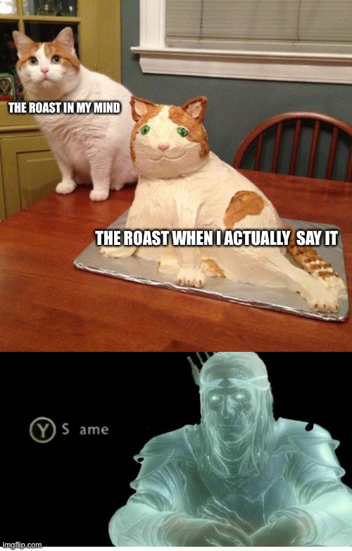F in the chat to pay respects. | THE ROAST IN MY MIND; THE ROAST WHEN I ACTUALLY  SAY IT | image tagged in same,cake,funny,fun,cats,cute cat | made w/ Imgflip meme maker