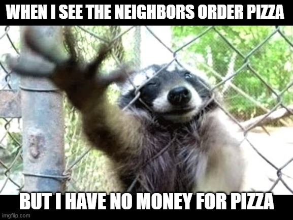 so close yet so far | WHEN I SEE THE NEIGHBORS ORDER PIZZA; BUT I HAVE NO MONEY FOR PIZZA | image tagged in so close yet so far,hungry,pizza,funny memes,lol | made w/ Imgflip meme maker