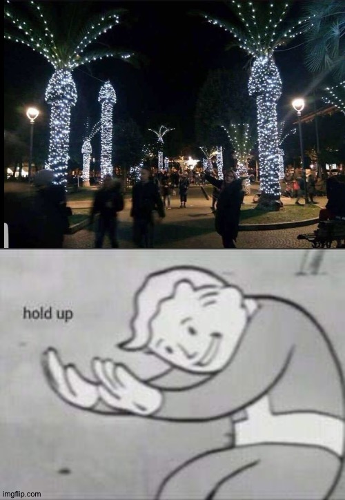 Never put Christmas lights on palm trees | image tagged in fallout hold up,christmas,i know it's not christmas yet,palm tree | made w/ Imgflip meme maker