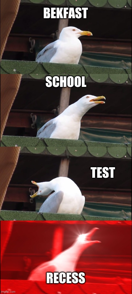 Inhaling Seagull Meme | BEKFAST; SCHOOL; TEST; RECESS | image tagged in memes,inhaling seagull | made w/ Imgflip meme maker
