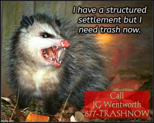 Raccoons work too | image tagged in repost,commercials | made w/ Imgflip meme maker