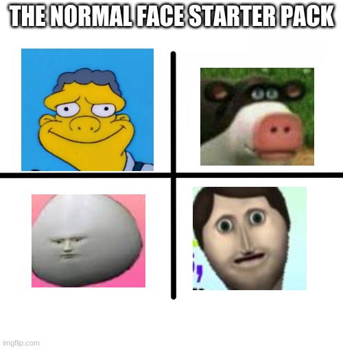 i like this | THE NORMAL FACE STARTER PACK | image tagged in memes,blank starter pack | made w/ Imgflip meme maker