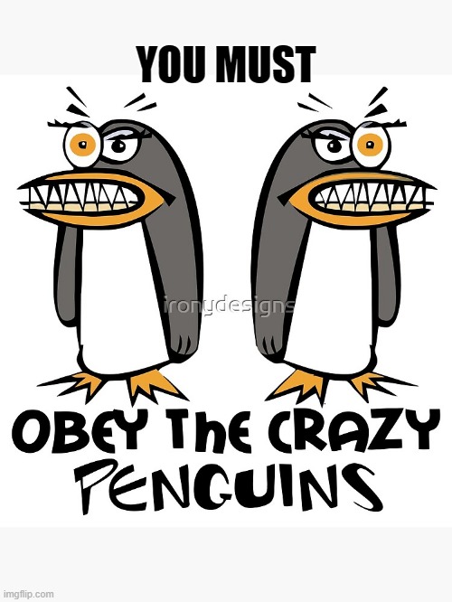 bow down to them or suffaaaaaaaaahhhh!!!! |  YOU MUST | image tagged in crazy penguins,evil,penguins,obey,crazy,hilarious | made w/ Imgflip meme maker