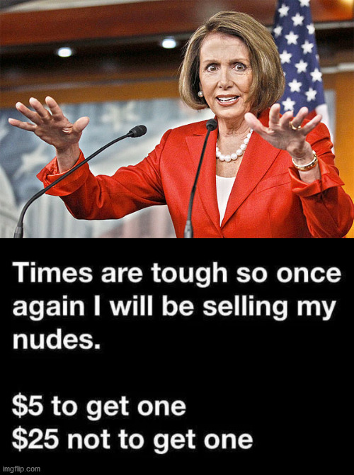 I would pay much more not to see that. | image tagged in nancy pelosi is crazy,political meme,shut up and take my money fry | made w/ Imgflip meme maker