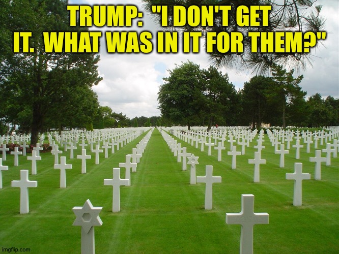 Trump is completely clueless about our military | TRUMP:  "I DON'T GET IT.  WHAT WAS IN IT FOR THEM?" | image tagged in military cemetary | made w/ Imgflip meme maker