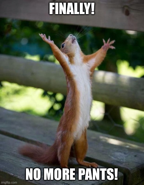 Happy Squirrel | FINALLY! NO MORE PANTS! | image tagged in happy squirrel | made w/ Imgflip meme maker