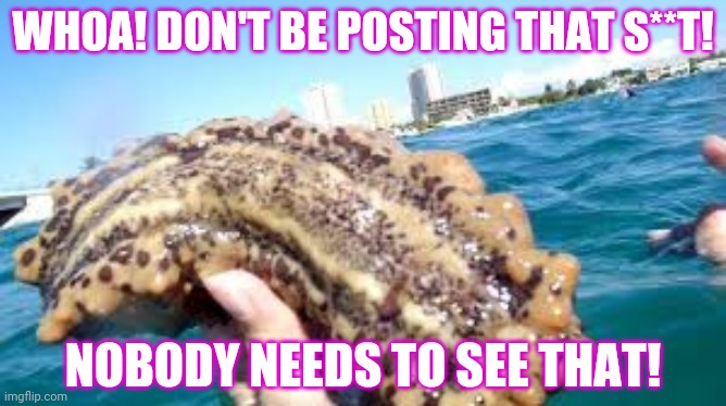 WHOA! DON'T BE POSTING THAT S**T! NOBODY NEEDS TO SEE THAT! | made w/ Imgflip meme maker