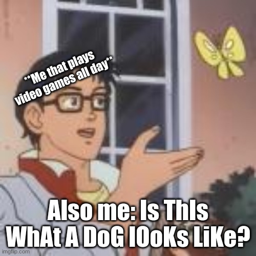 VIDEOGAMES GOT TO MEEE | **Me that plays video games all day**; Also me: Is ThIs WhAt A DoG lOoKs LiKe? | image tagged in xd | made w/ Imgflip meme maker
