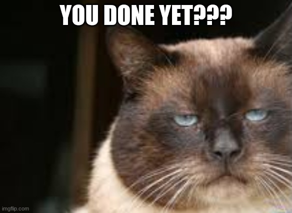 YOU DONE YET??? | image tagged in done,im done,grumpy cat not amused | made w/ Imgflip meme maker