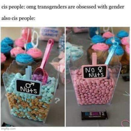 are... are the straights ok? | image tagged in transgender,straight,lgbtq,are they ok | made w/ Imgflip meme maker