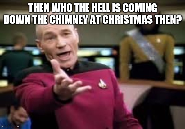 Picard Hand Out | THEN WHO THE HELL IS COMING DOWN THE CHIMNEY AT CHRISTMAS THEN? | image tagged in picard hand out | made w/ Imgflip meme maker