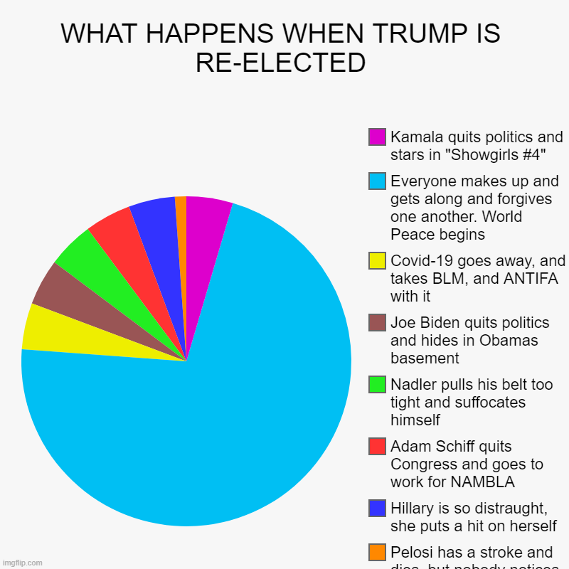 WHAT HAPPENS WHEN TRUMP IS RE-ELECTED | Pelosi has a stroke and dies, but nobody notices, or cares, Hillary is so distraught, she puts a hit | image tagged in charts,pie charts | made w/ Imgflip chart maker
