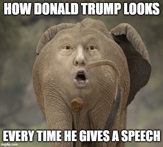 Trumps' Speeches | HOW DONALD TRUMP LOOKS; EVERY TIME HE GIVES A SPEECH | image tagged in donald trump,republican | made w/ Imgflip meme maker