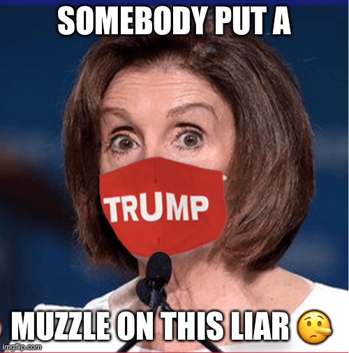 Lying Nancy | SOMEBODY PUT A; MUZZLE ON THIS LIAR 🤥 | image tagged in liberal hypocrisy,elitist,liars,election 2020 | made w/ Imgflip meme maker