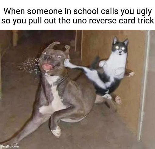 When someone in school calls you ugly so you pull out the uno reverse card trick | When someone in school calls you ugly so you pull out the uno reverse card trick | image tagged in get rekt,uno reverse card,memes,meme,funny,no u | made w/ Imgflip meme maker