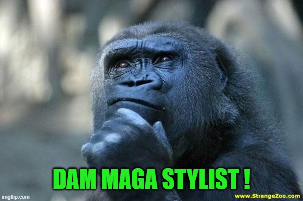 Deep Thoughts | DAM MAGA STYLIST ! | image tagged in deep thoughts | made w/ Imgflip meme maker