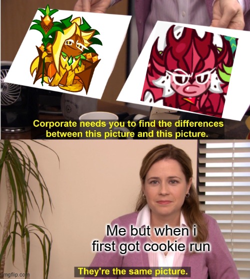 i need help im obsessed with cookie run- | Me but when i first got cookie run | image tagged in memes,they're the same picture | made w/ Imgflip meme maker
