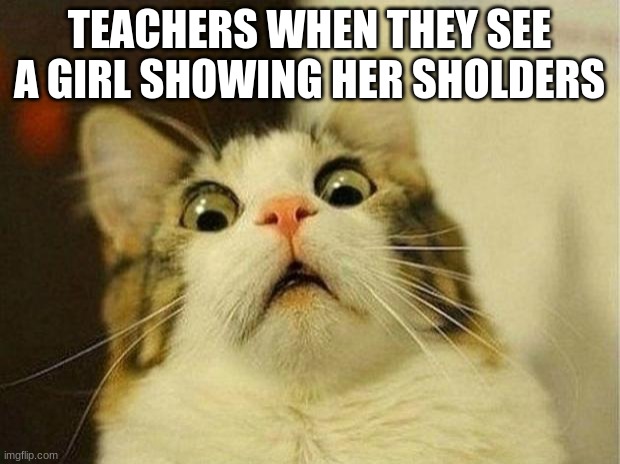 Scared Cat | TEACHERS WHEN THEY SEE A GIRL SHOWING HER SHOLDERS | image tagged in memes,scared cat | made w/ Imgflip meme maker