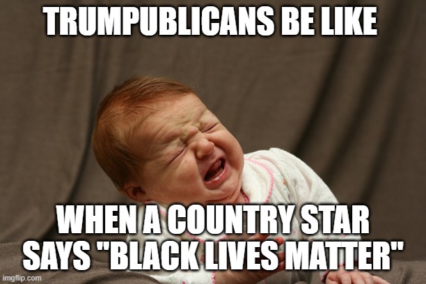 Trumptarts be like | TRUMPUBLICANS BE LIKE; WHEN A COUNTRY STAR SAYS "BLACK LIVES MATTER" | image tagged in donald trump,joe biden,liberals,dnc,antifa | made w/ Imgflip meme maker