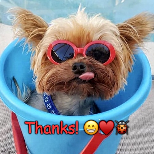 Thanks! | Thanks! 😁♥️🐞 | image tagged in thanks | made w/ Imgflip meme maker