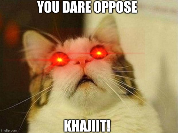 Scared Cat | YOU DARE OPPOSE; KHAJIIT! | image tagged in memes,scared cat | made w/ Imgflip meme maker