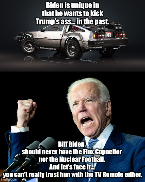 Biff Biden | Biden is unique in that he wants to kick Trump's ass... in the past. Biff Biden, 
should never have the Flux Capacitor 
nor the Nuclear Football. 
And let's face it... 
you can't really trust him with the TV Remote either. | image tagged in delorean,joe biden's fist | made w/ Imgflip meme maker
