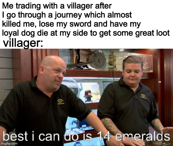 HMMMmmmmm | Me trading with a villager after I go through a journey which almost killed me, lose my sword and have my loyal dog die at my side to get some great loot; villager:; best i can do is 14 emeralds | image tagged in minecraft | made w/ Imgflip meme maker