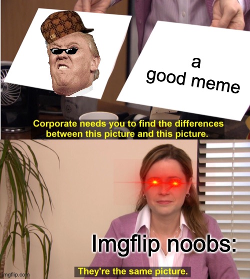They're The Same Picture Meme | a good meme; Imgflip noobs: | image tagged in memes,they're the same picture | made w/ Imgflip meme maker