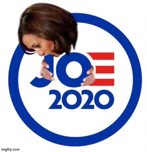 High Quality Joe 2020 Blank Meme Template