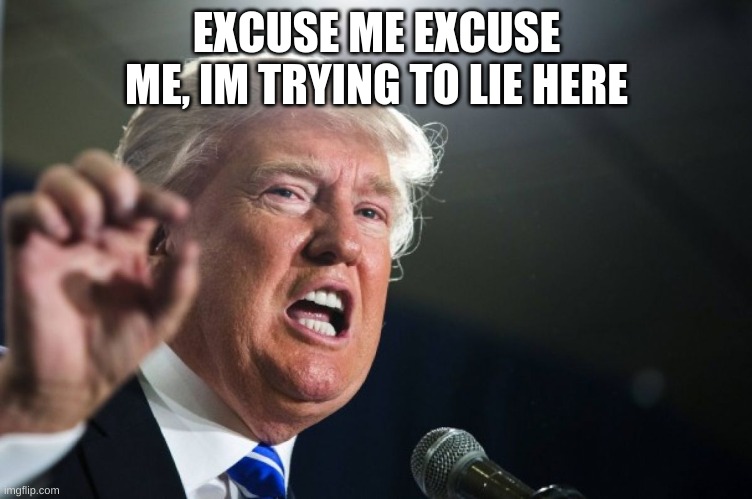 donald trump | EXCUSE ME EXCUSE ME, IM TRYING TO LIE HERE | image tagged in donald trump | made w/ Imgflip meme maker