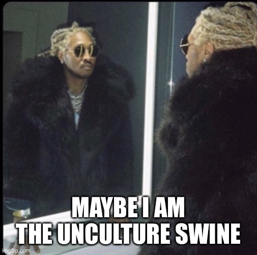 future mirror | MAYBE I AM THE UNCULTURE SWINE | image tagged in future mirror | made w/ Imgflip meme maker