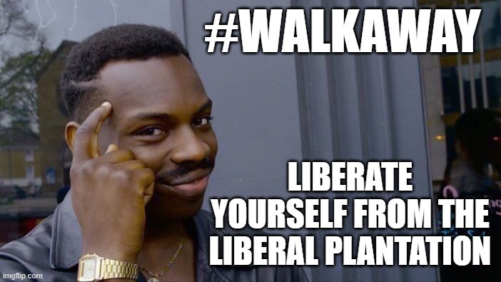 Roll Safe Think About It Meme | #WALKAWAY LIBERATE YOURSELF FROM THE LIBERAL PLANTATION | image tagged in memes,roll safe think about it | made w/ Imgflip meme maker