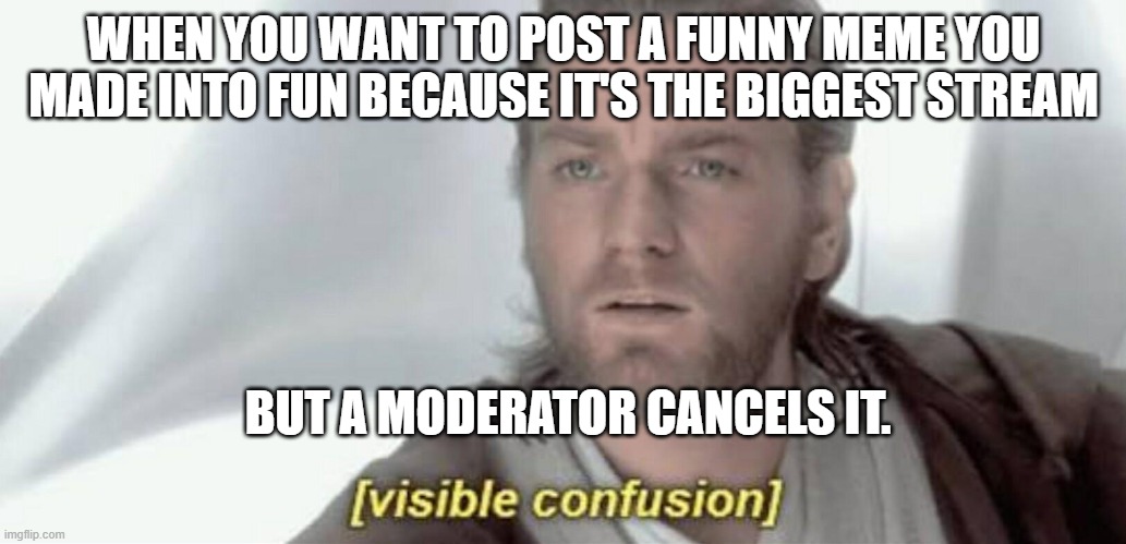 why | WHEN YOU WANT TO POST A FUNNY MEME YOU MADE INTO FUN BECAUSE IT'S THE BIGGEST STREAM; BUT A MODERATOR CANCELS IT. | image tagged in visible confusion,moderators,fun | made w/ Imgflip meme maker