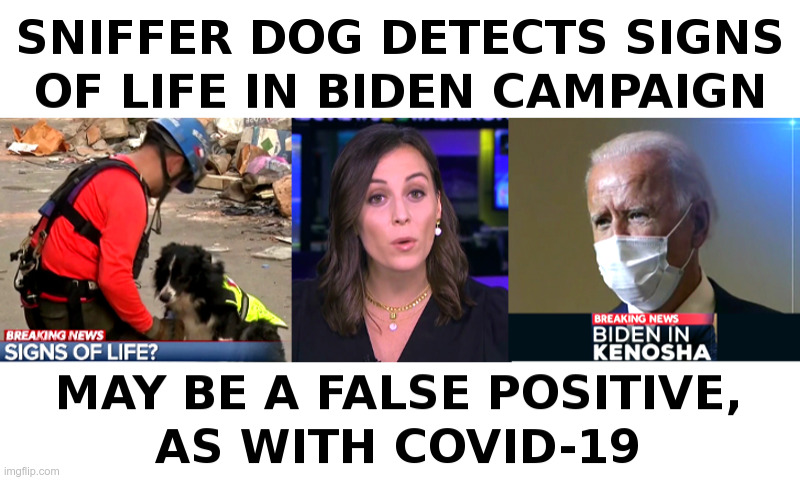 Signs of Life in the Biden Campaign? | image tagged in joe biden,presidential race,sniff,dog,false,positive | made w/ Imgflip meme maker