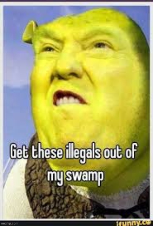 Donald Trump + Shrek | image tagged in funny,fun,donald trump,shrek,meme | made w/ Imgflip meme maker