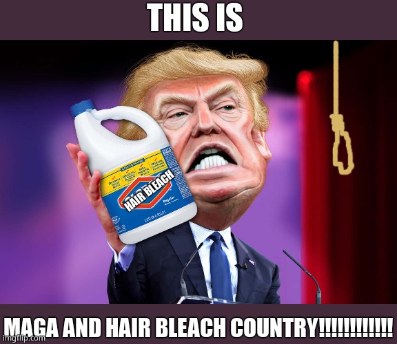 Trump bleach | THIS IS MAGA AND HAIR BLEACH COUNTRY!!!!!!!!!!!! HAIR BLEACH | image tagged in trump bleach | made w/ Imgflip meme maker