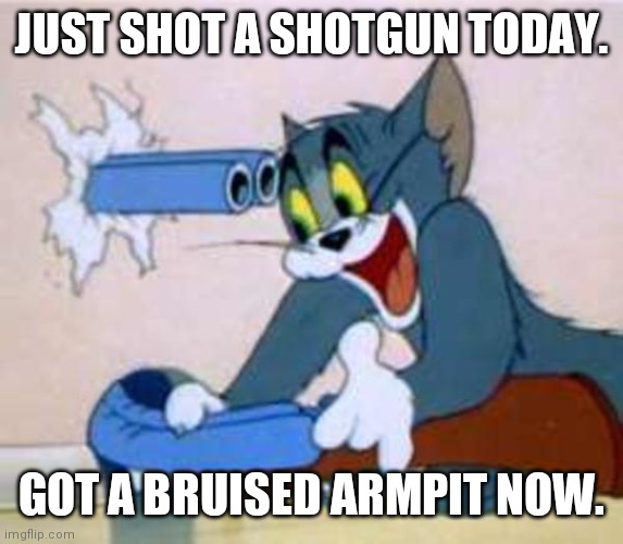 :( | JUST SHOT A SHOTGUN TODAY. GOT A BRUISED ARMPIT NOW. | image tagged in tom the cat shooting himself | made w/ Imgflip meme maker