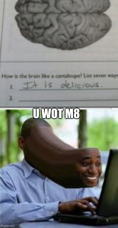 Hmm... how IS the brain like a cantaloupe? | U WOT M8 | image tagged in u wot m8 | made w/ Imgflip meme maker