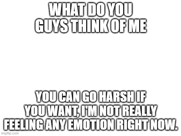 Blank White Template | WHAT DO YOU GUYS THINK OF ME; YOU CAN GO HARSH IF YOU WANT, I'M NOT REALLY FEELING ANY EMOTION RIGHT NOW. | image tagged in blank white template | made w/ Imgflip meme maker