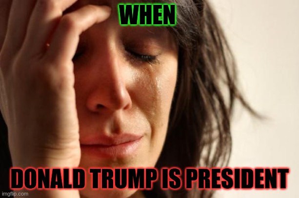 First World Problems Meme | WHEN; DONALD TRUMP IS PRESIDENT | image tagged in memes,first world problems | made w/ Imgflip meme maker