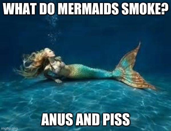 Mermaid meme | WHAT DO MERMAIDS SMOKE? ANUS AND PISS | image tagged in mermaid | made w/ Imgflip meme maker