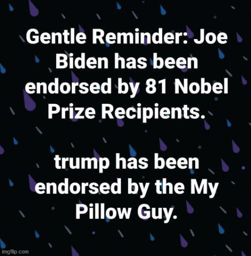 I know I know I know....I neglected to mention Scott Baio and Hershel Walker. | image tagged in trump,biden,my pillow guy | made w/ Imgflip meme maker