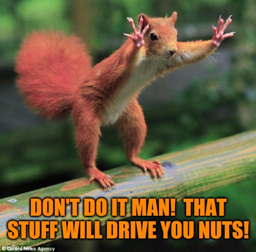 squirel | DON'T DO IT MAN!  THAT STUFF WILL DRIVE YOU NUTS! | image tagged in squirel | made w/ Imgflip meme maker