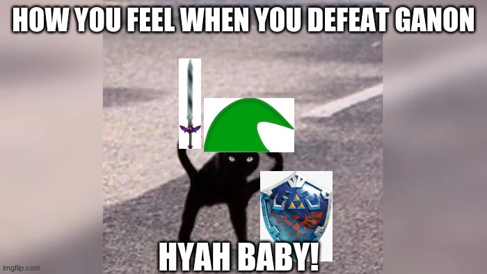 HOW YOU FEEL WHEN YOU DEFEAT GANON; HYAH BABY! | image tagged in legend of zelda | made w/ Imgflip meme maker
